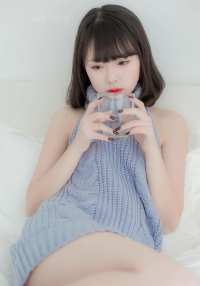 拉布拉多动画片免费观看
