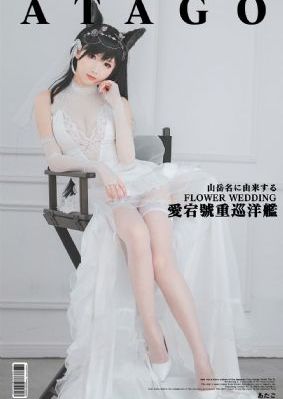 二十不惑2